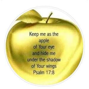 Meet your Posher, Rhonda